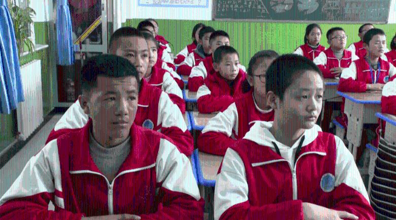 【思泉荣誉 · 奋楫笃行、共启新篇】